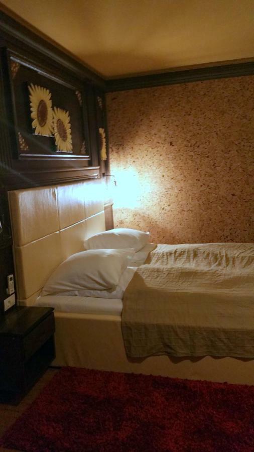 Hotel Golden Spirit Băile Herculane エクステリア 写真